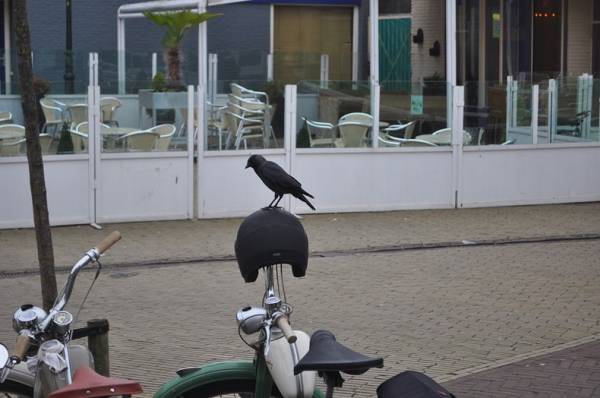 Nsu Pontjes rit 063-BorderMaker