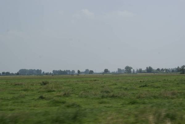  DSC0286Alblasserwaard