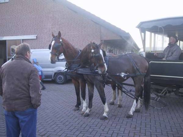 ze hebben er hard voor moeten werken die twee