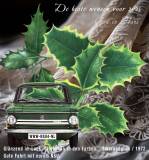 000-Ilex-aquifolium20241220-nsu2025