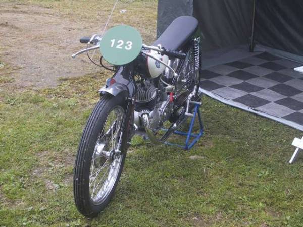 Mooie race Fox van Hans