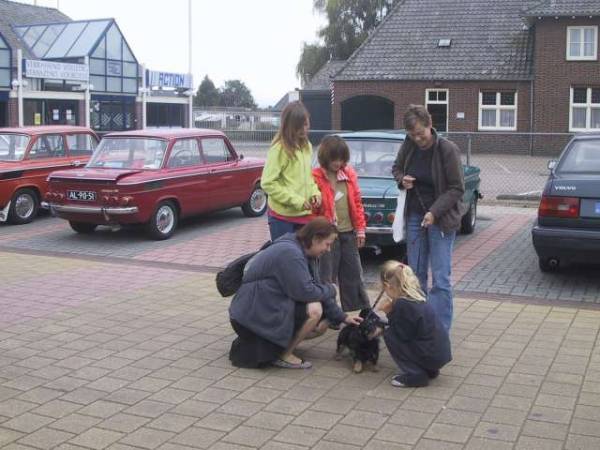 De tekkeltjes waren er ook weer bij