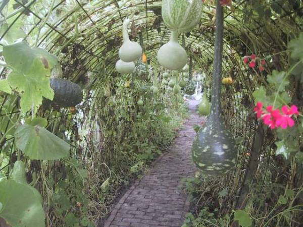 Gieten najaarstreffen 2008  Pumpkin Garden