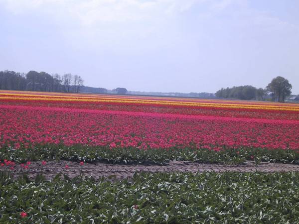 Balkbrug 2009